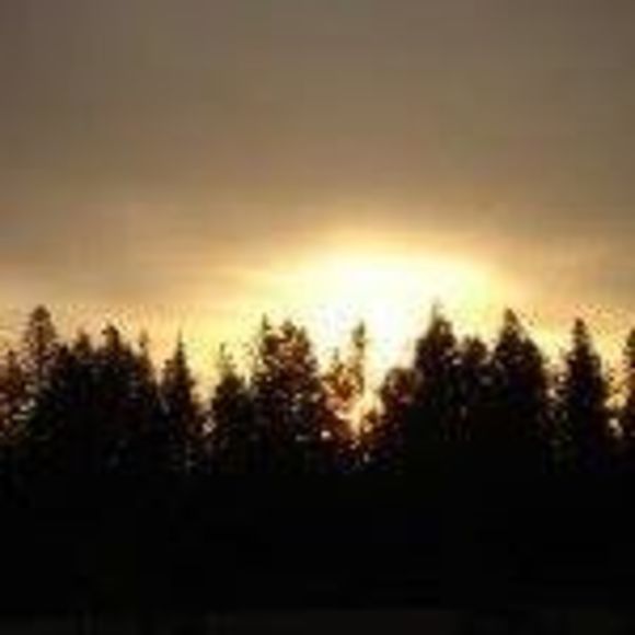 Meet your Posher, Mindy - Picture 1 of 1